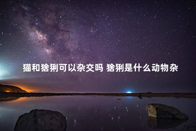 猫和猞猁可以杂交吗 猞猁是什么动物杂交出来的